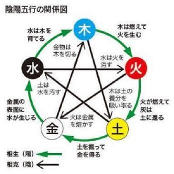 陰陽理論|陰陽五行思想